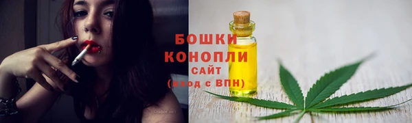 дмт Лиски