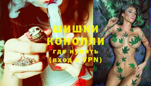 дмт Лиски
