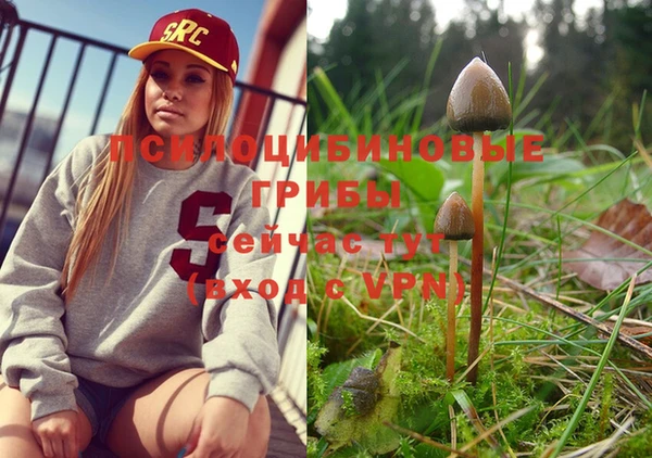 дмт Лиски