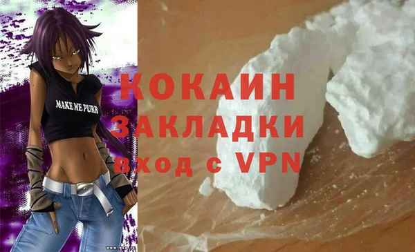 дмт Лиски