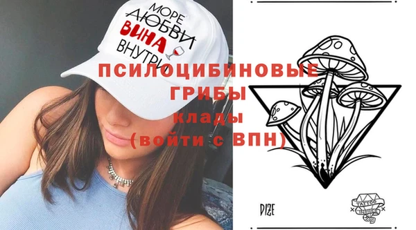 прущие крисы Магадан