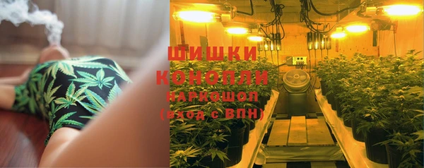 прущие крисы Липки