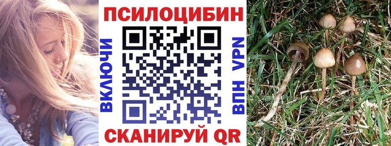 Галлюциногенные грибы прущие грибы  Купить где  Анадырь 